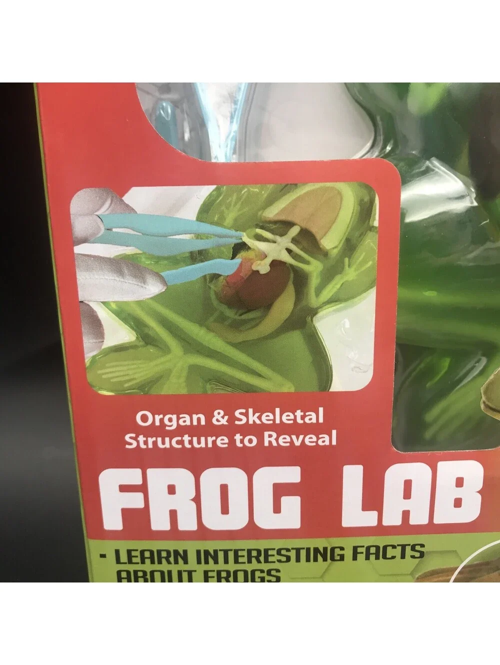 Dissect-It FROG Dissection Kit STEM Science Homeschool Simulated Synthetic Lab
